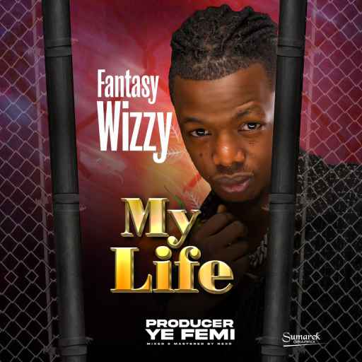 My Life by Fantasy Wizzy