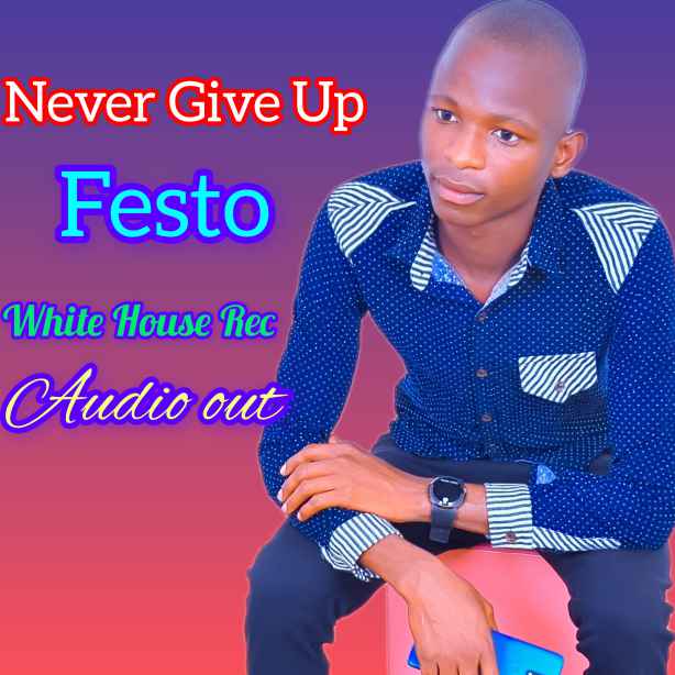 Never Give Up by Festo