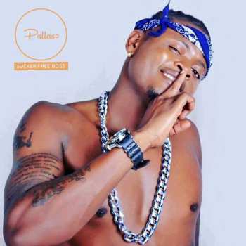 Baby Mama (remix) by Oma Afrikana, Pallaso