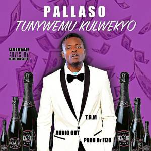 Tunywemu Kulwekyo by Pallaso