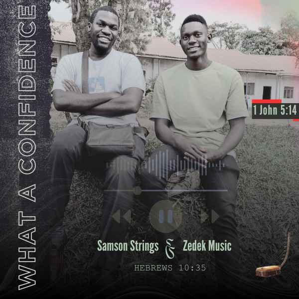 What A Confidence (feat. Zedek Music) by Samson Strings