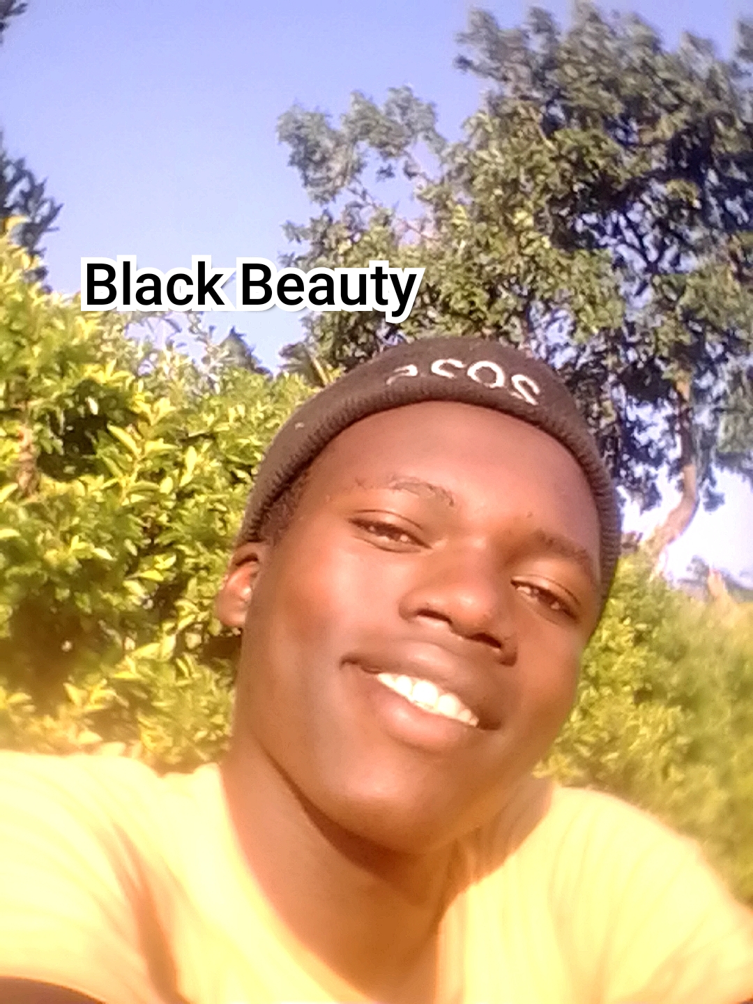 Black Beauty by T Allan Official