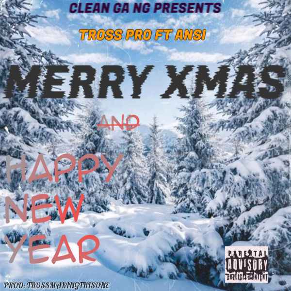 Merry Xmas And Happy New Year by Tross Pro Ft Ansi