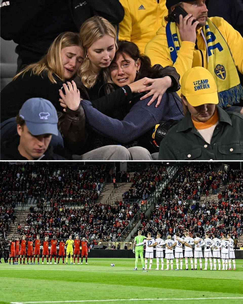 Belgium Vs Sweden Game Abandoned 