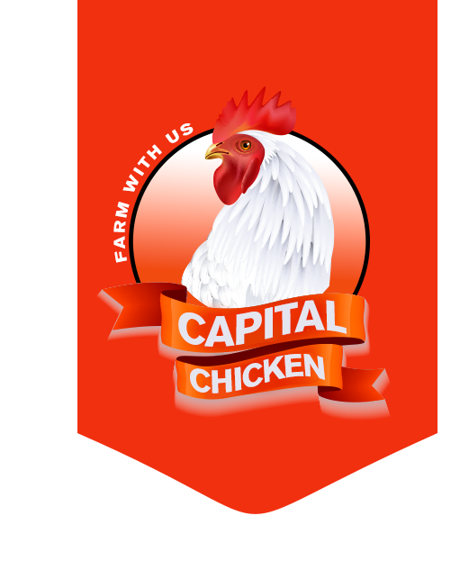 Capital chicken 