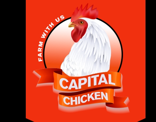 What a loss! Capital Chicken closes down after Ugandans invest Millions of money.