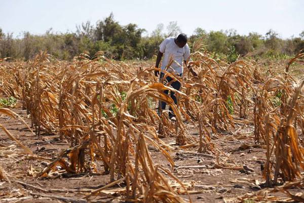 Weather Experts ask Public to Prepare for a Dry Spell !