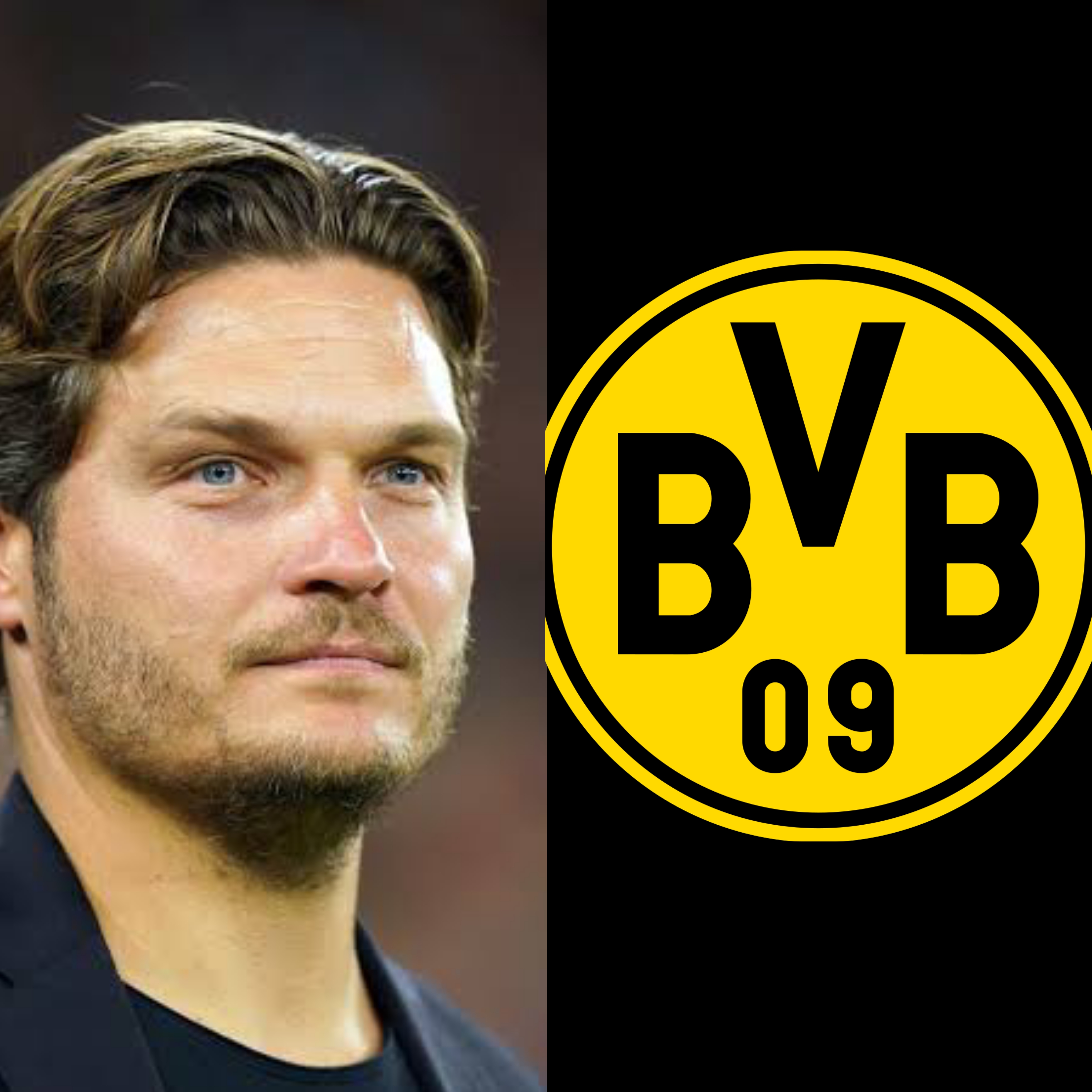 Eden Terzic steps down as Dortmund head coach.