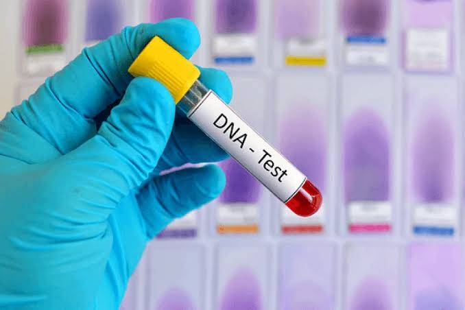  High Court Prioritizes Sibling DNA Tests Over Exhumation for Paternity Verification