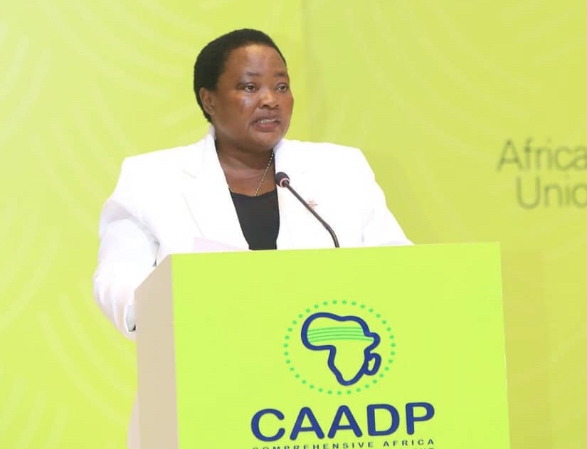 Africa Charts Path to Transform Agrifood Systems at CAADP Summit in Kampala